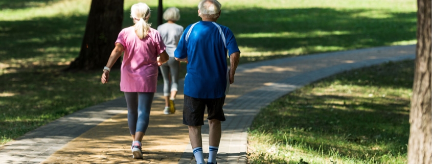 Walking Grupe in der Parkanlage Sibethsburg