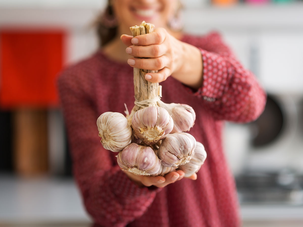 Knoblauch