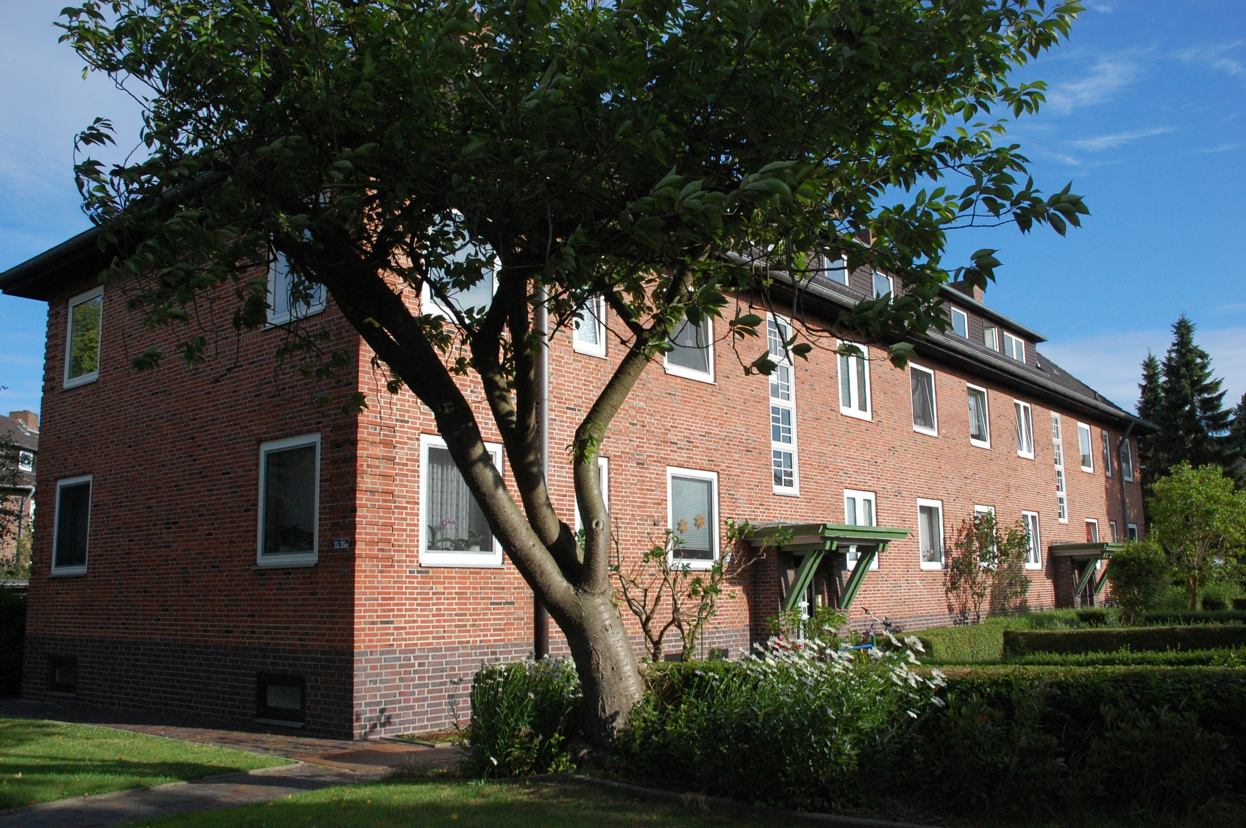 Edo-Wiemken 35 a (3)